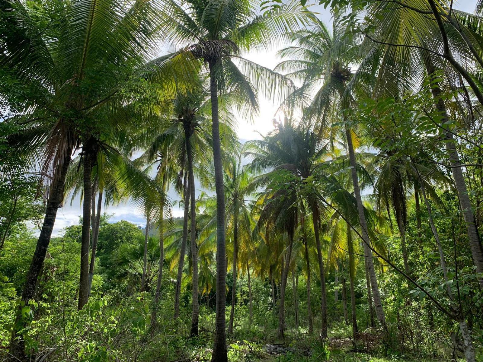 Ora Komodo Home Stay Exteriör bild